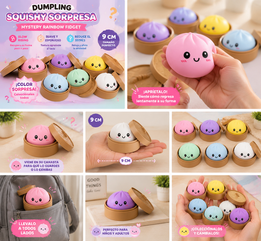 Dumpling Squishy Sorpresa Mystery Rainbow Fidget
