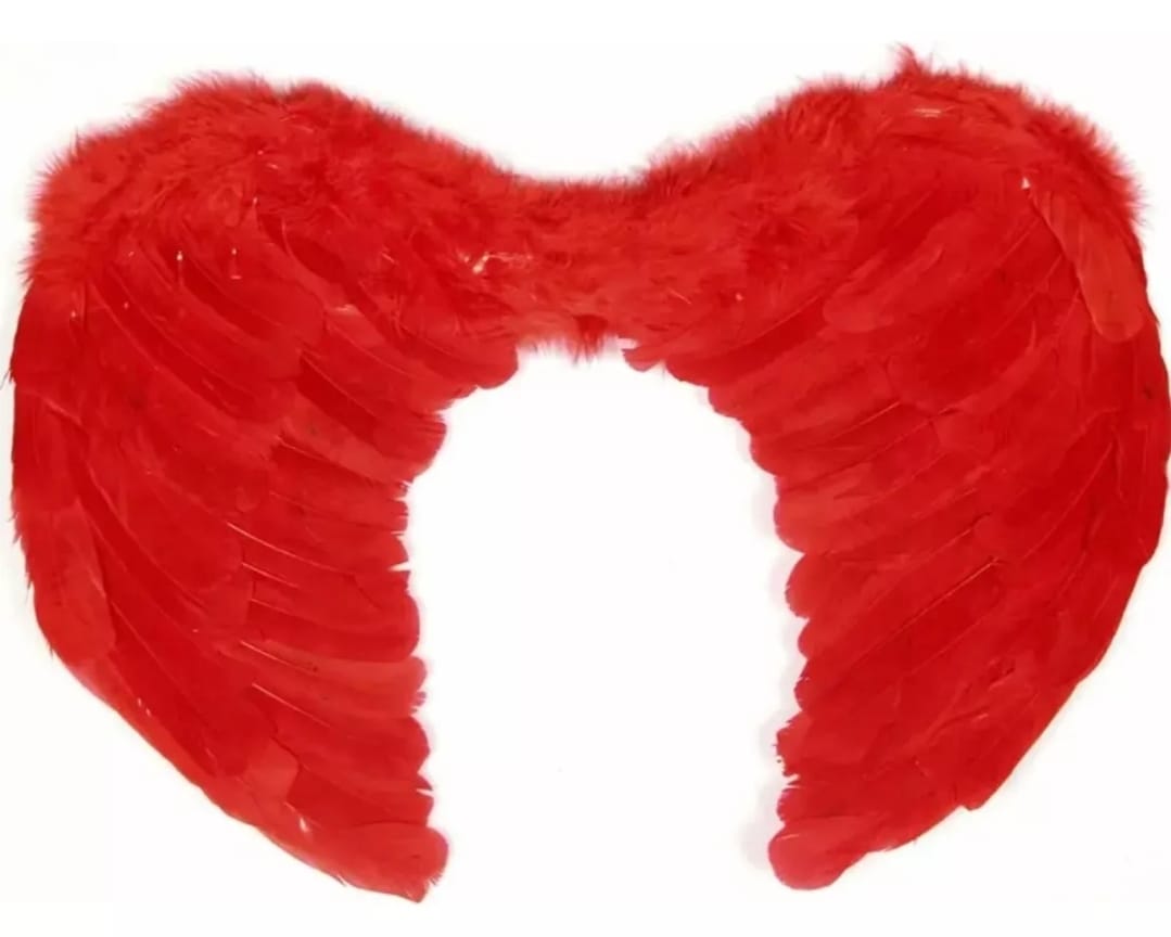 Alas de Pluma - Alas de Angel - Blanca -Roja-Negra