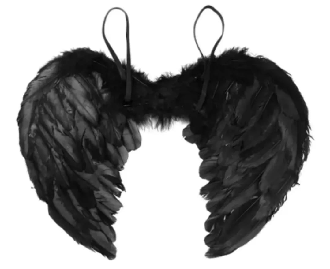 Alas de Pluma - Alas de Angel - Blanca -Roja-Negra
